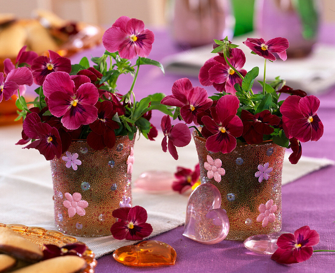 Viola cornuta (horned violet) in a glass