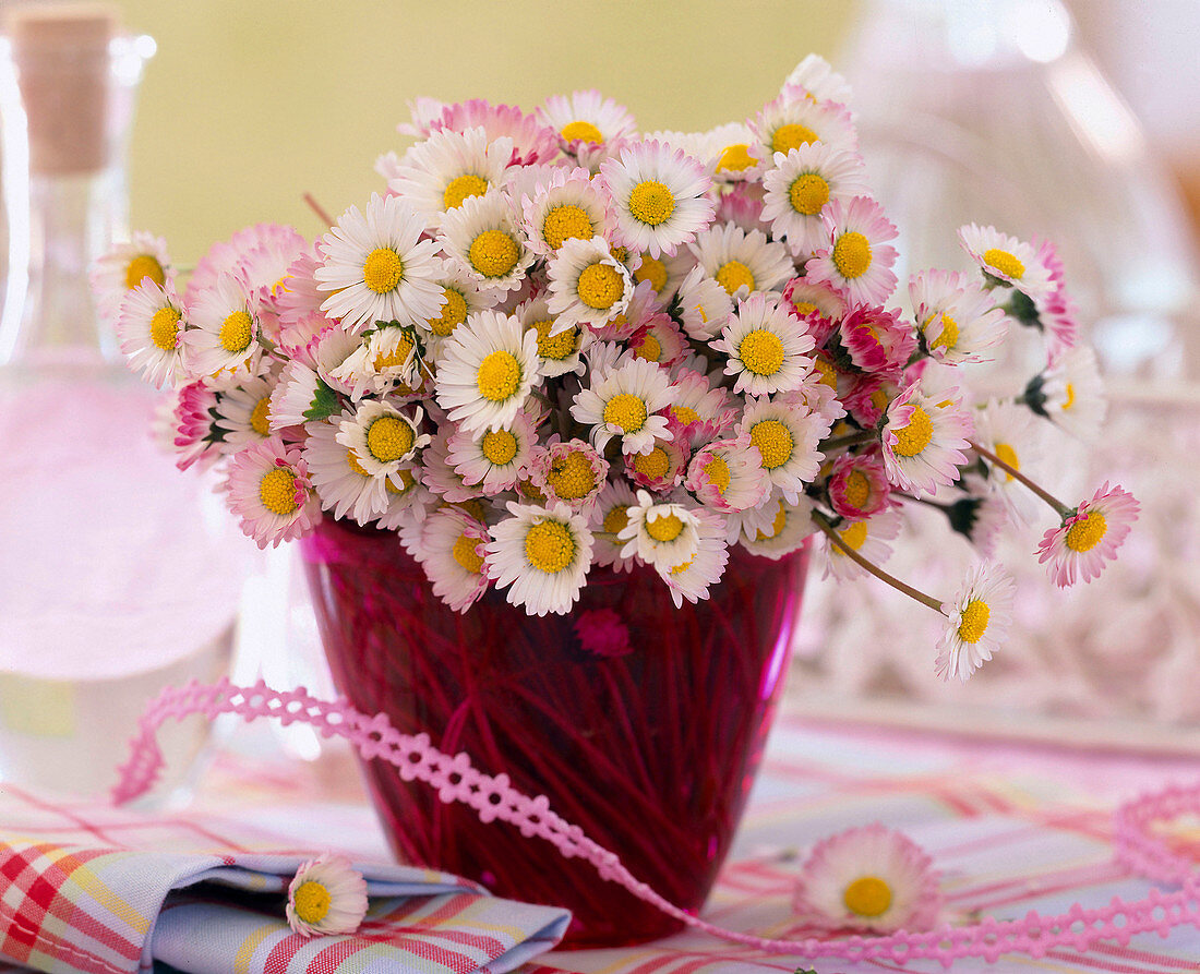 Bellis / Gänseblümchenstrauß im pinken Glas