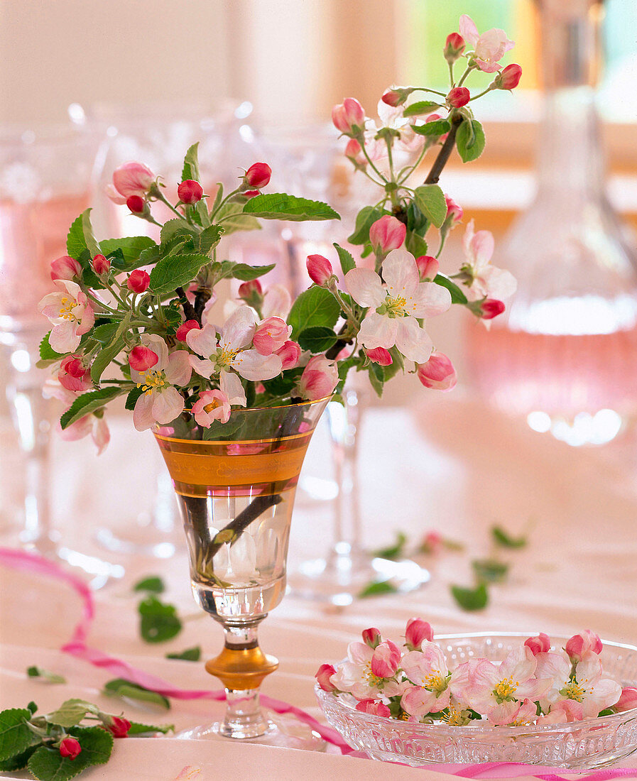 Malus / Apfelblüten im Goldrandpokal und in Kristallschale