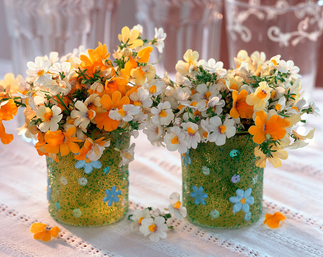 Nemesia 'Pineapple', 'Lemon', 'White'/ Elfenspiegel