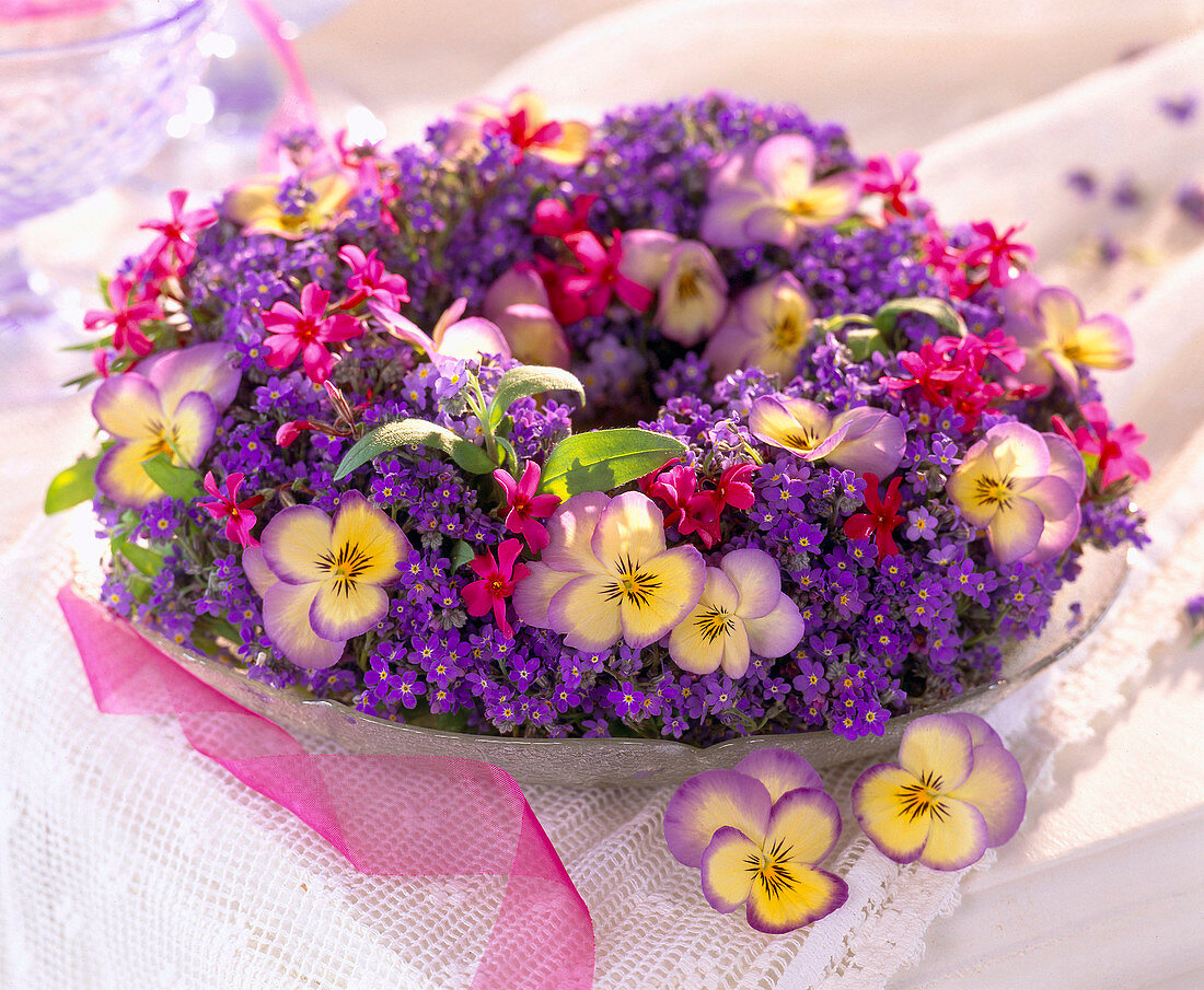 Myosotis compindii (Forget-me-not), Viola cornuta 'Sorbet Lemon' (Lemon sorbet)