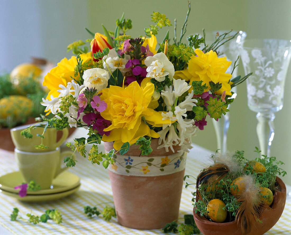 Narcissus 'Dick Wilden' & 'Bridal Crown' (Daffodil, Tulipa)