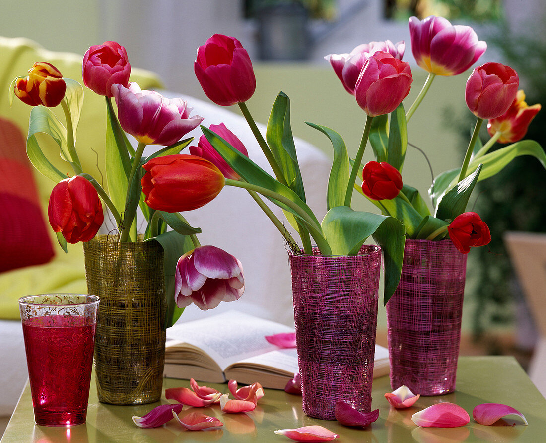 Tulipa (tulips) in vases with sisal cover, petals