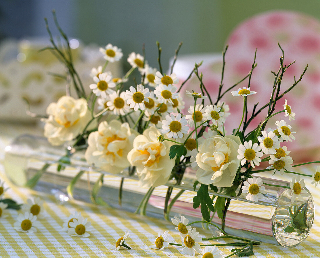 Liegevase mit Narcissus 'Bridal Crown' (Narzissen)