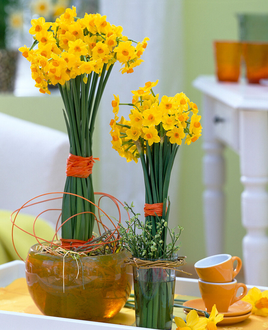 Narcissus jonquilla 'Martinette' (many-flowered dwarf narcissus)