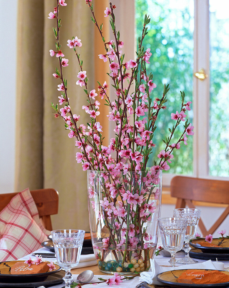 Prunus persica, peach blossoms in glass vase, glass balls as decoration