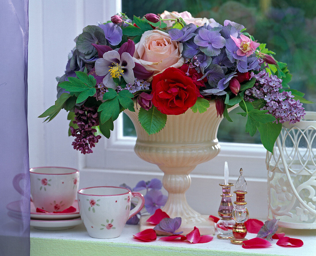 Rosa (Rose), Hydrangea (Hortensie), Syringa (Flieder), Aquilegia