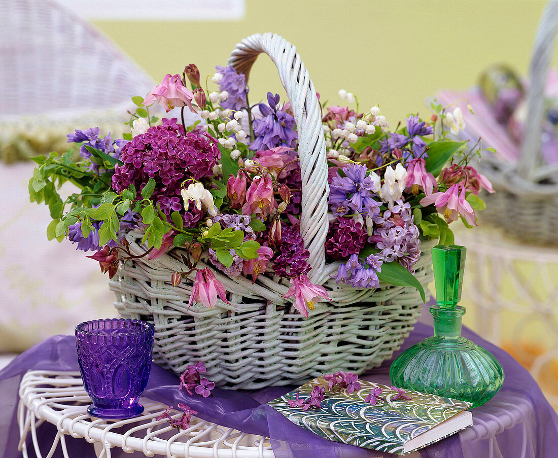 Syringa (Flieder), Aquilegia (Akelei), Hyacinthus (Hyazinthen)