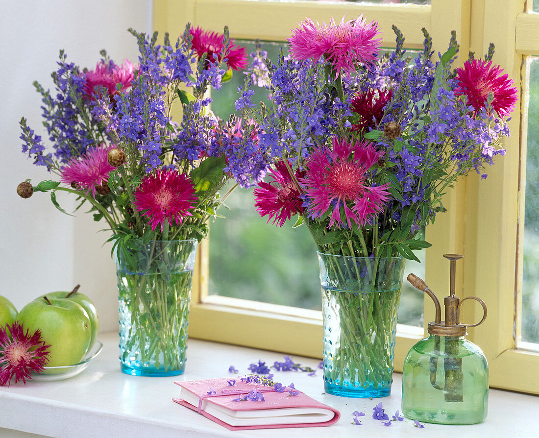 Veronica (speedwell), Centaurea dealbata (knapweed)