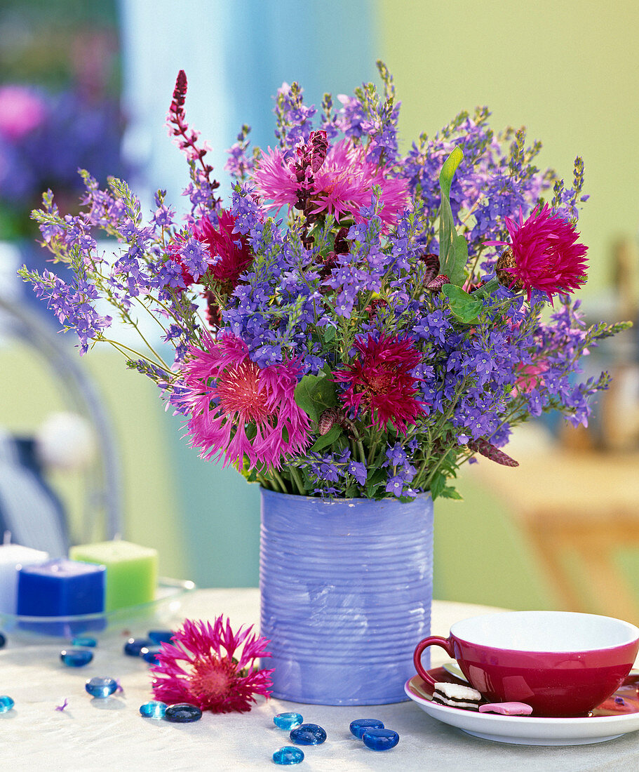 Veronica (speedwell), Centaurea dealbata (knapweed), Salvia