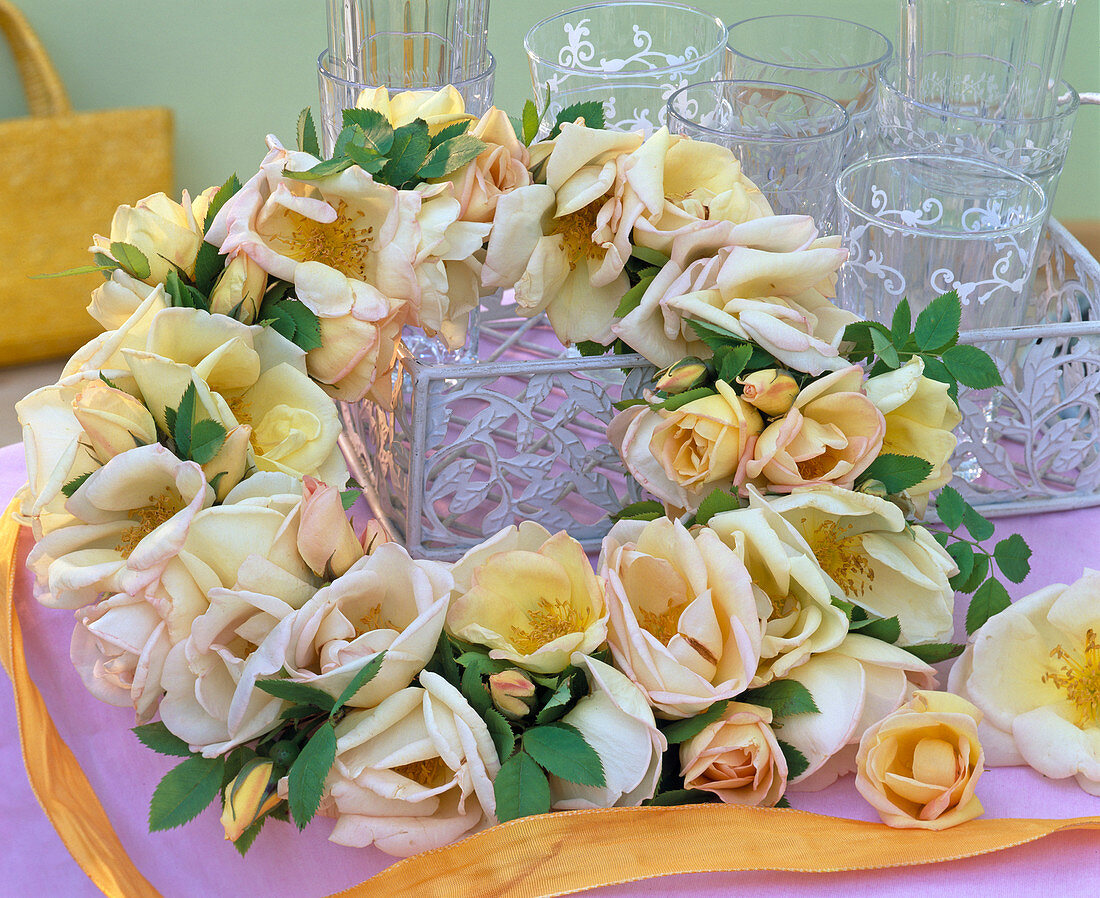 Rosa 'Frühlingsgold' (Rose flowers in Oasis wreath blank)