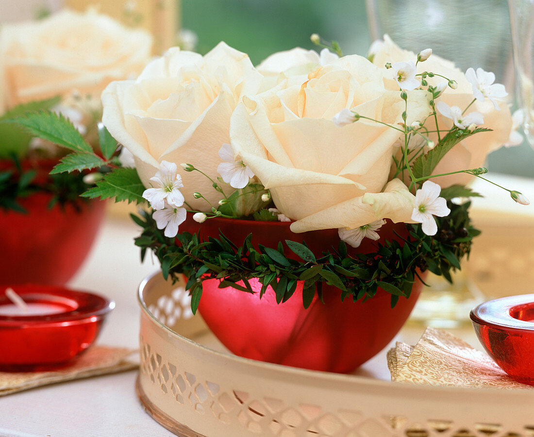 Rosa 'Vendela' (Rosen), Gypsophila (Schleierkraut)