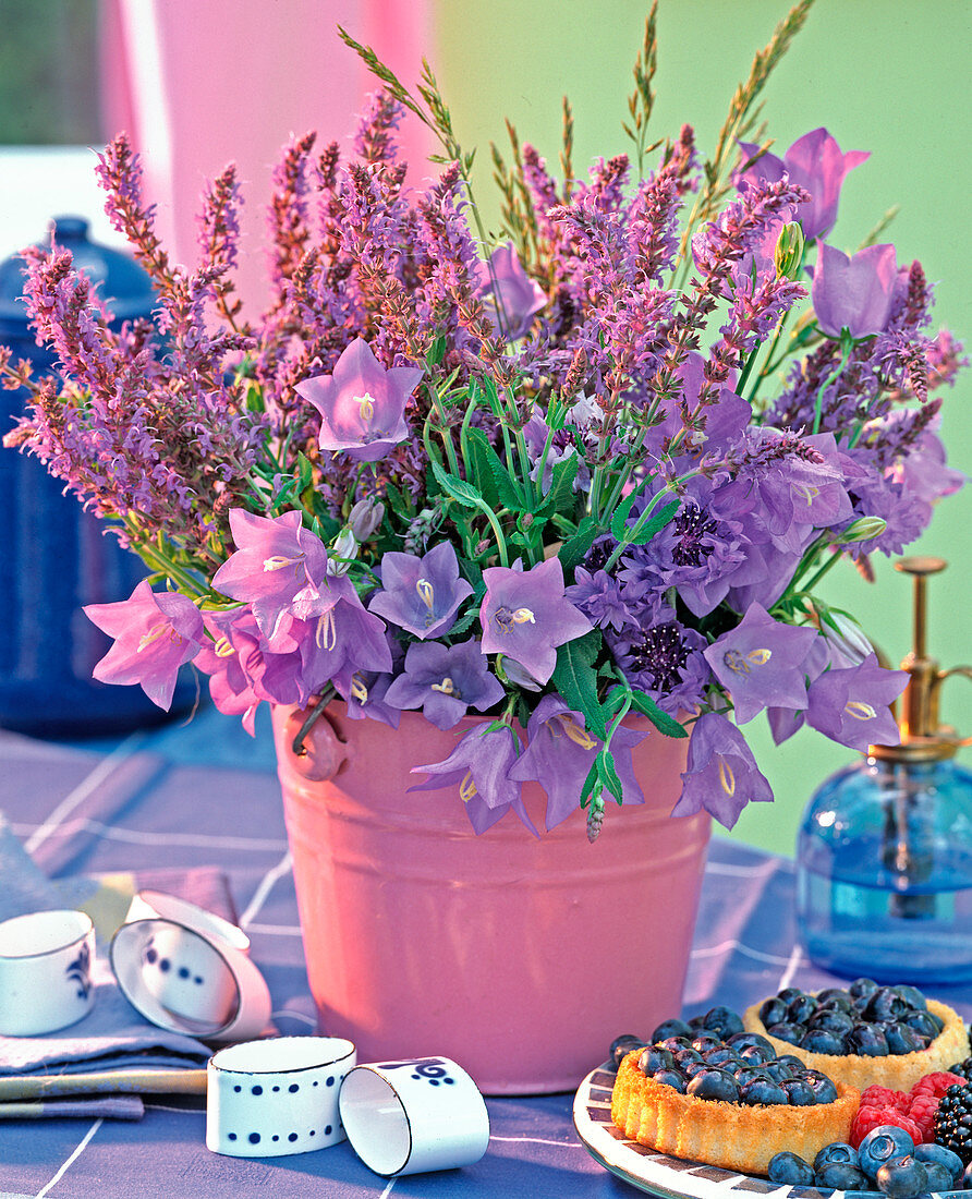 Salvia (ornamental sage, Campanula (bellflower), grasses