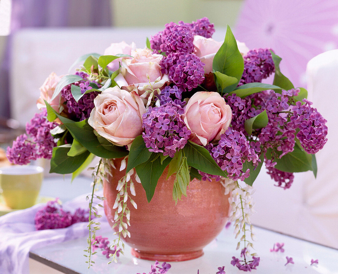 Syringa 'Ludwig Späth' (Flieder), Wisteria 'Alba' (weißer Blauregen)