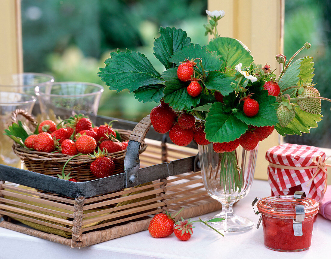 Fragaria (Strawberries) as bouquet, in basket