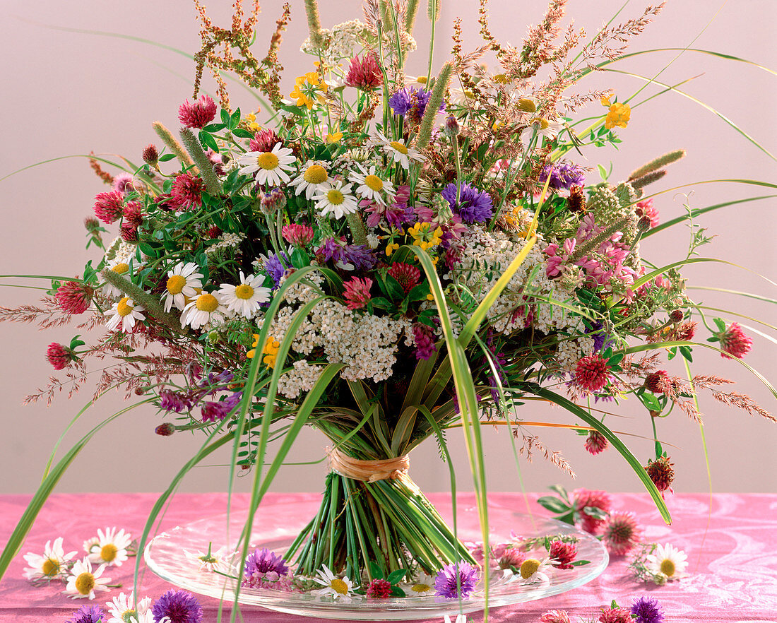 Trifolium, Rumex, Achillea, Centaurea