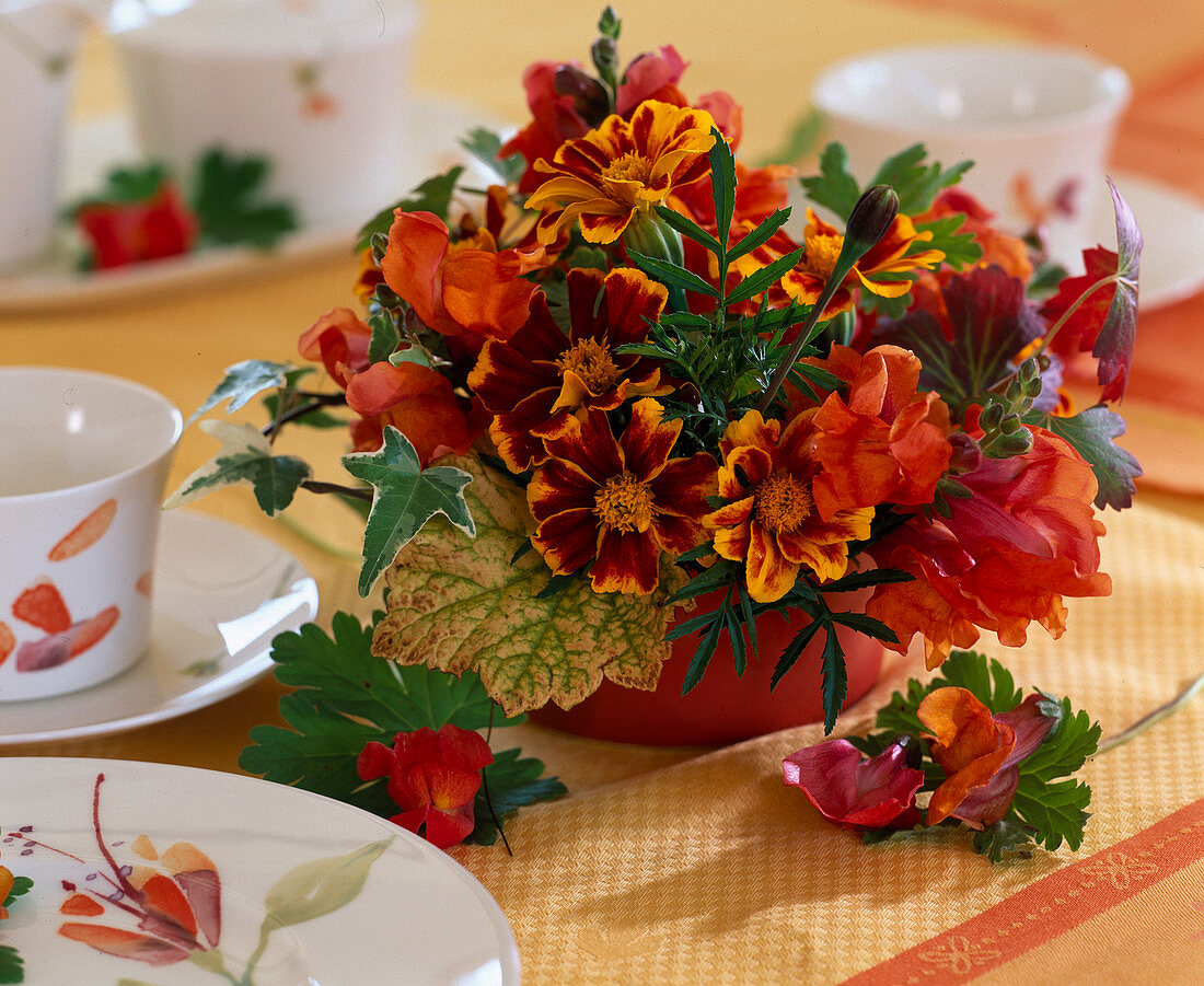 Anthirrhinum (Löwenmäulchen), Tagetes (Studentenblumen)