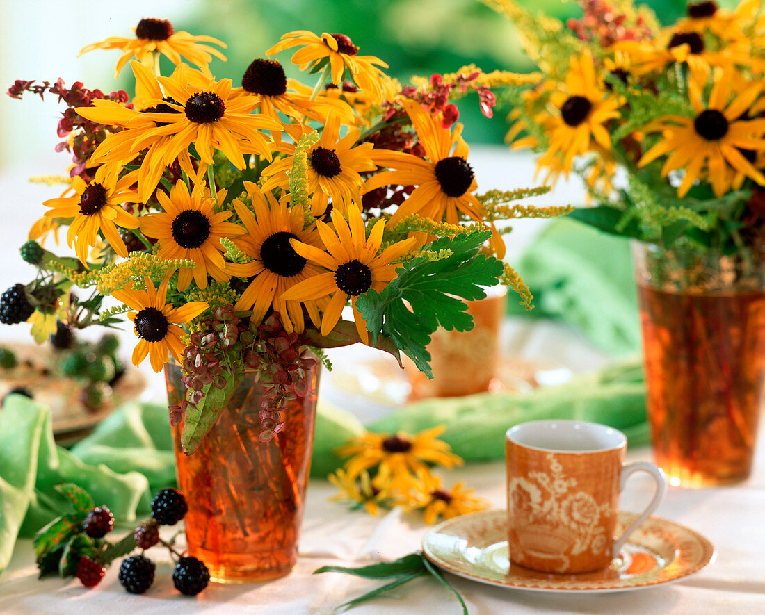 Rudbeckia 'Goldsturm' / Sonnenhut, Solidago / Goldrute