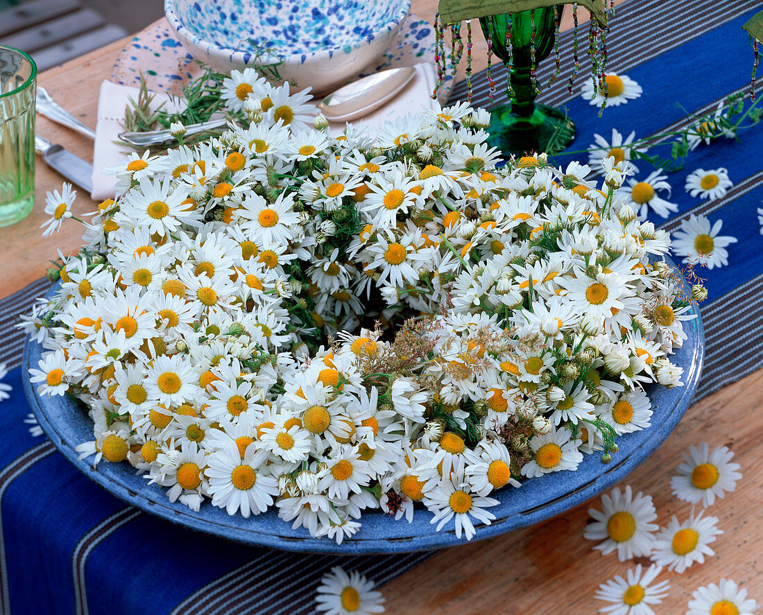 Matricaria (camomile) placed in a blue bowl in the shape of a wreath