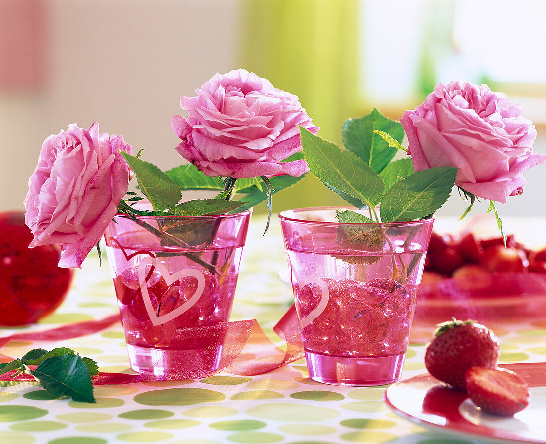 Rosa 'Mary Rose' (English scented rose in jars)