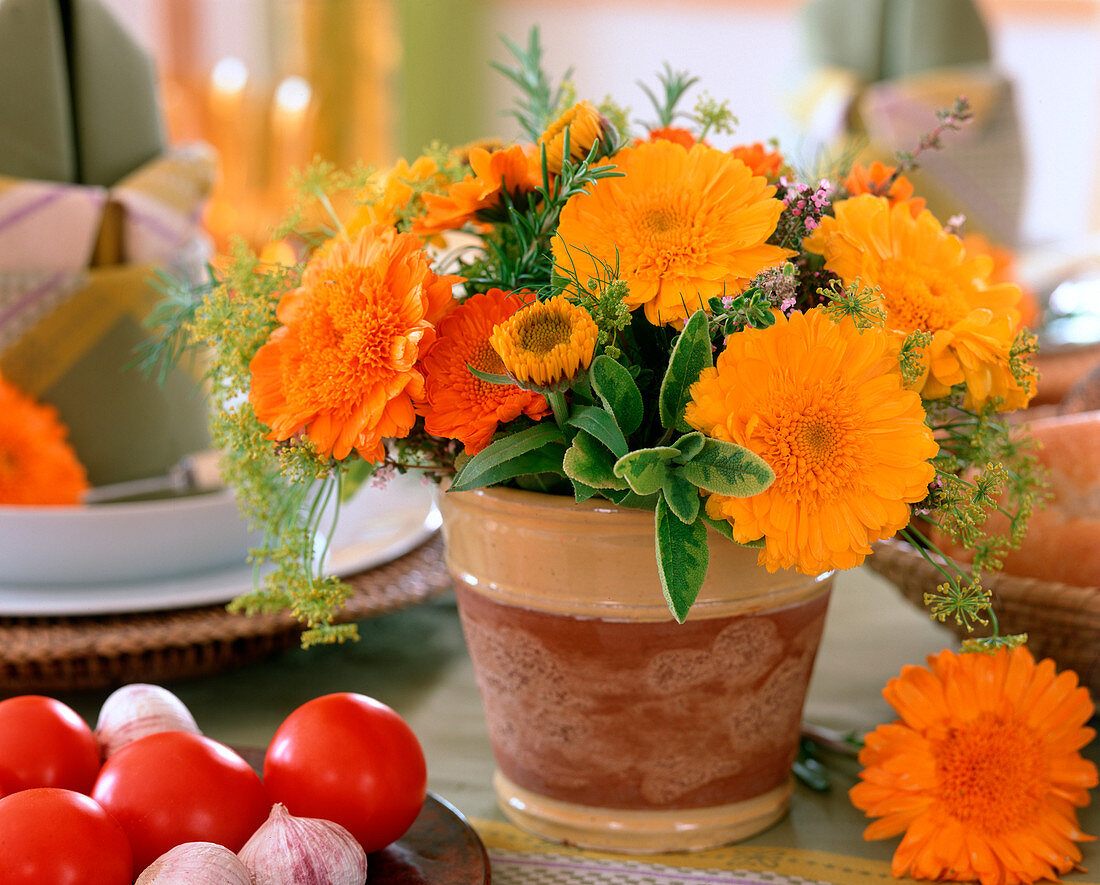 Calendula 'Kablouna Mixed' (marigolds), (Thompson & Morgan)