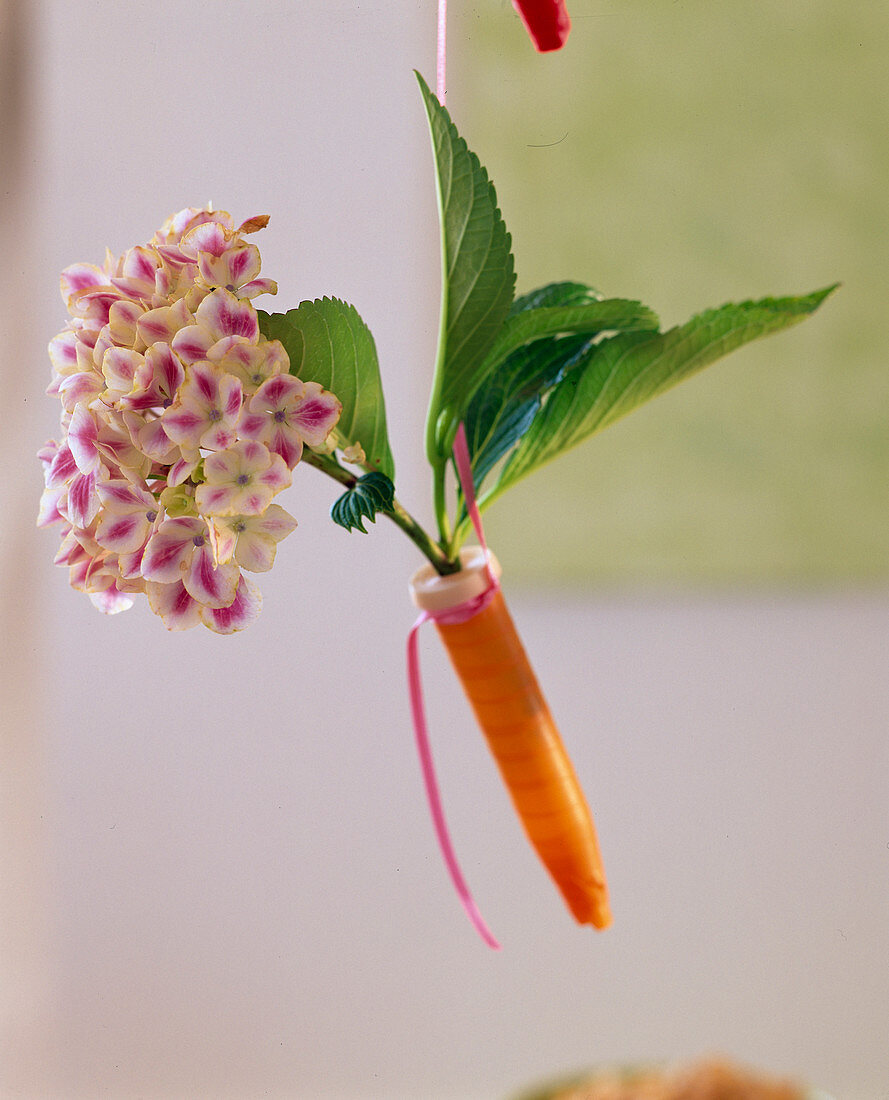 Hydrangea decoration