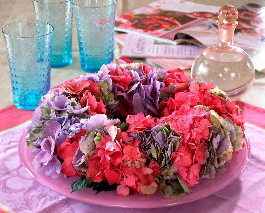 Hydrangea macrophylla (Hortensienblüten)