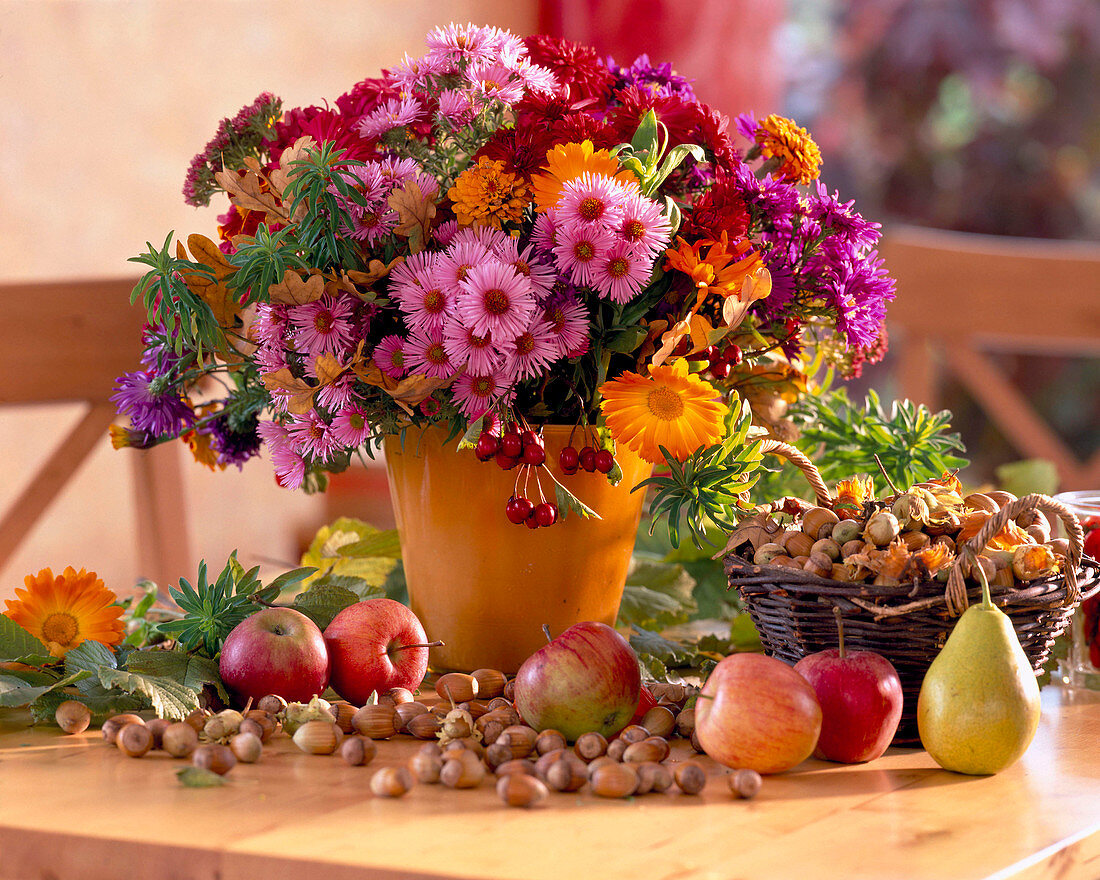 Aster / Herbstastern, Calendula / Ringelblumen, Zinnia, Chrysanthemum, Euphorbia