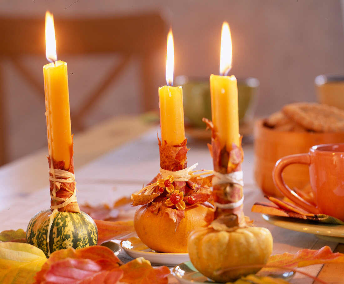 Cucurbita (ornamental pumpkins) as candle holders, orange candles with Acer (maple foliage)