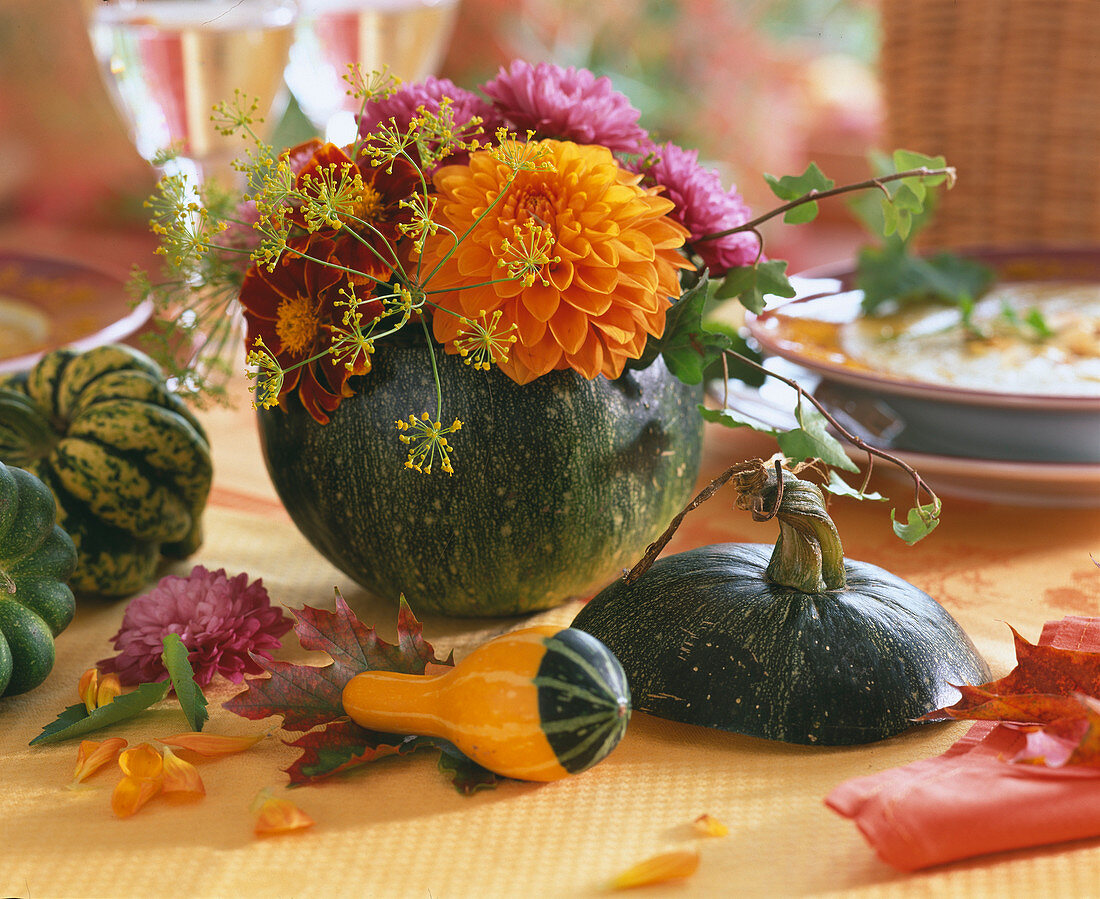 Cucurbita (green pumpkin) as vase, ornamental pumpkins, Dahlia, Anethum (dill), Tagetes