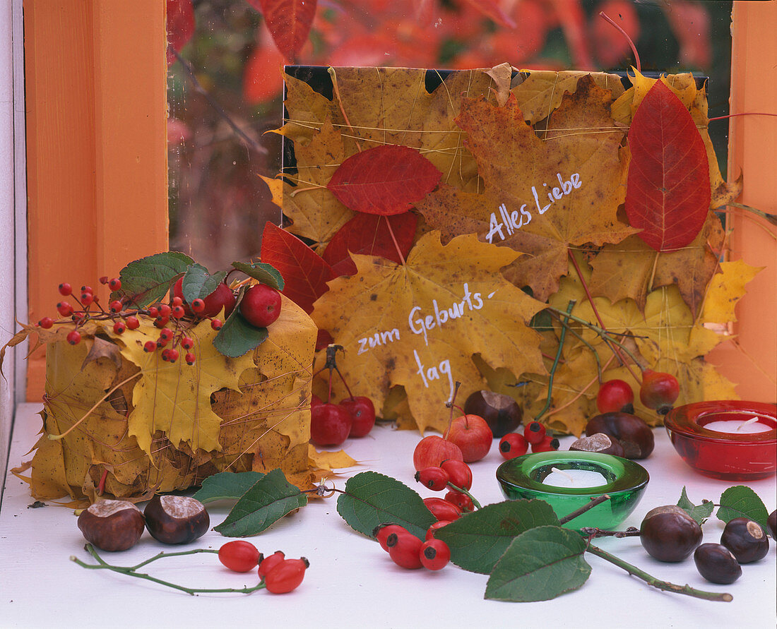 Autumn leaves as gift wrapping (3/3)