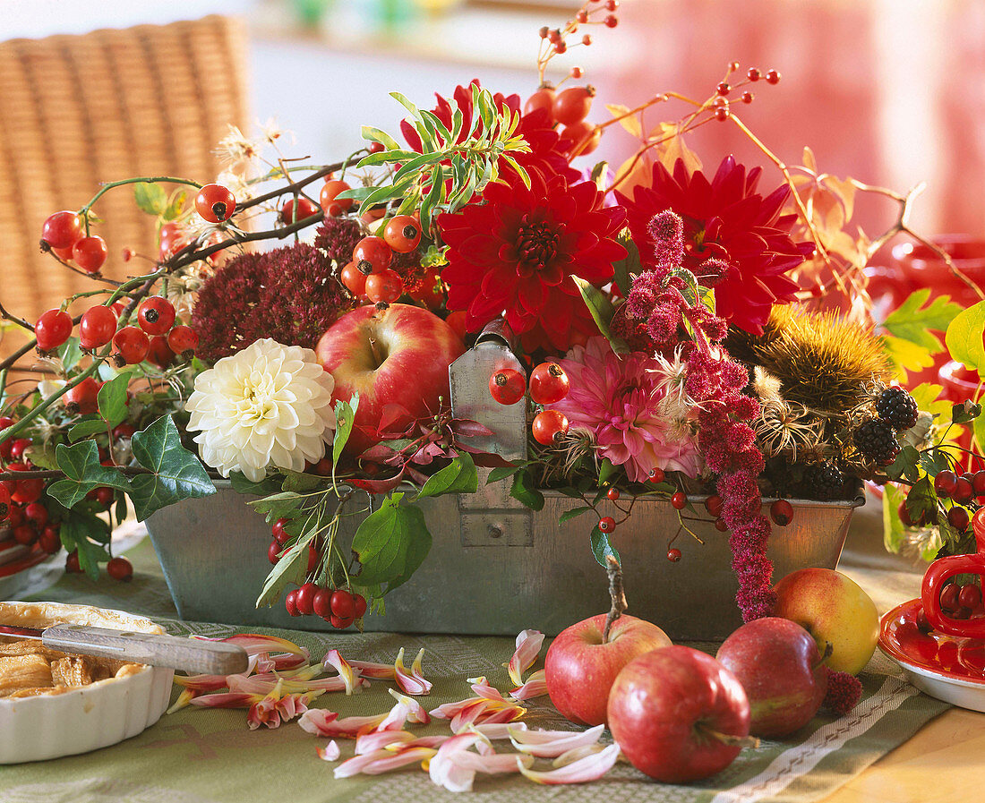 Blechkorb mit Dahlia, Rosa (Hagebutten), Crataegus (Weißdorn), Rubus (Brombeere)