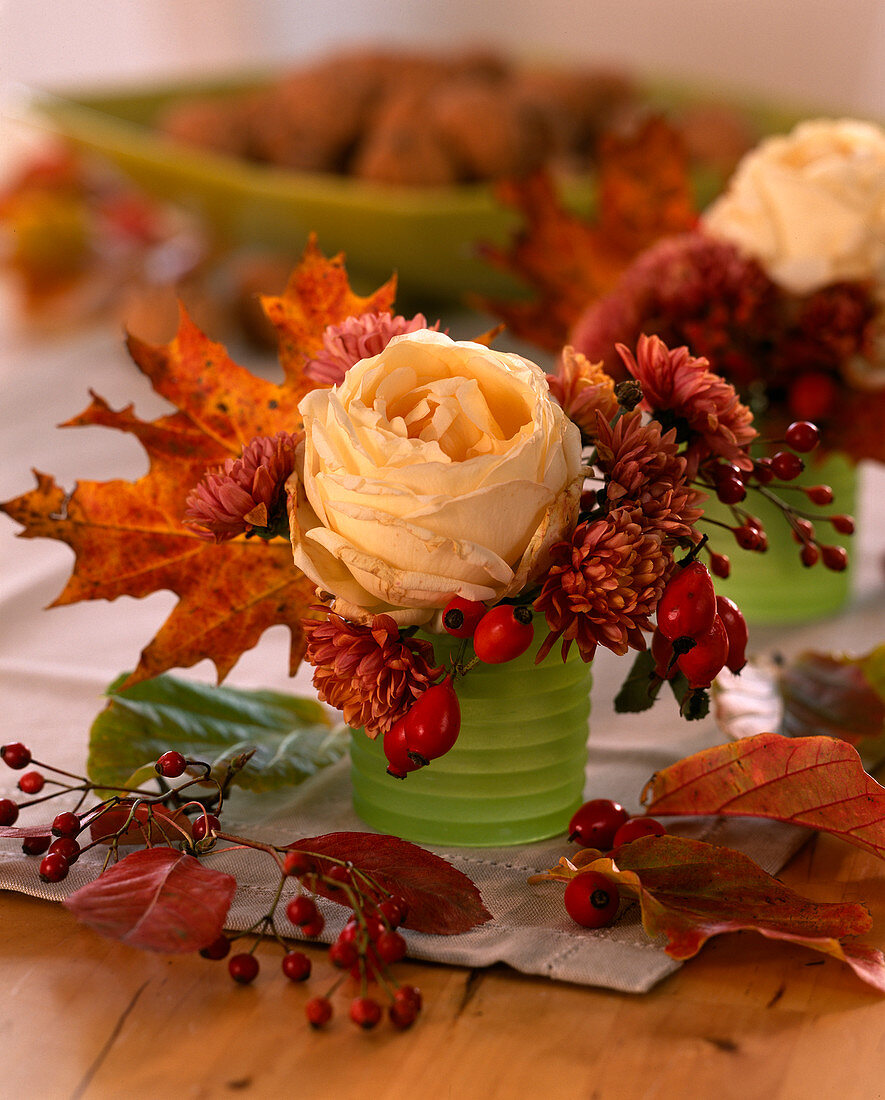 Pink (rose) and rosehips, Chrysanthemum, Acer (maple leaf), Amelanchier