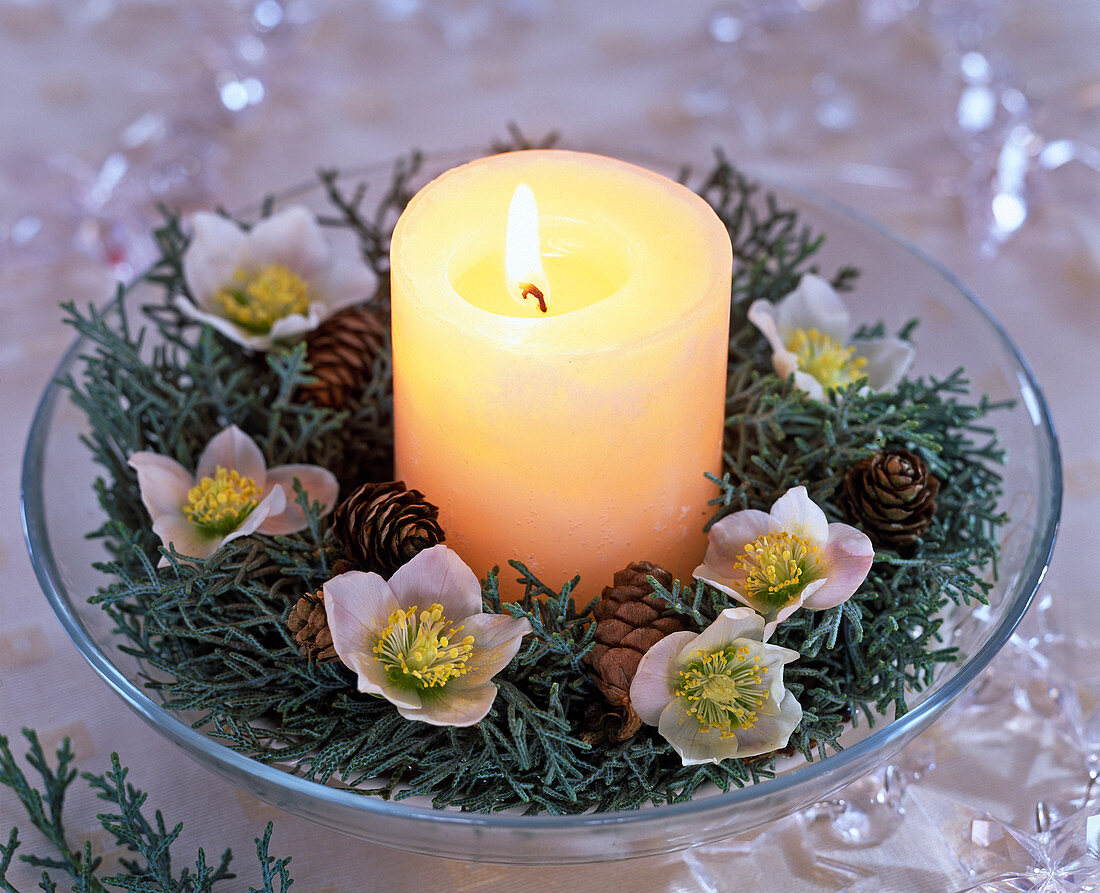 Wreath made of Cupressus arizonica (Arizona cypress)