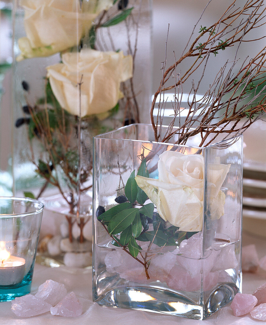 Square glass vase with white rose