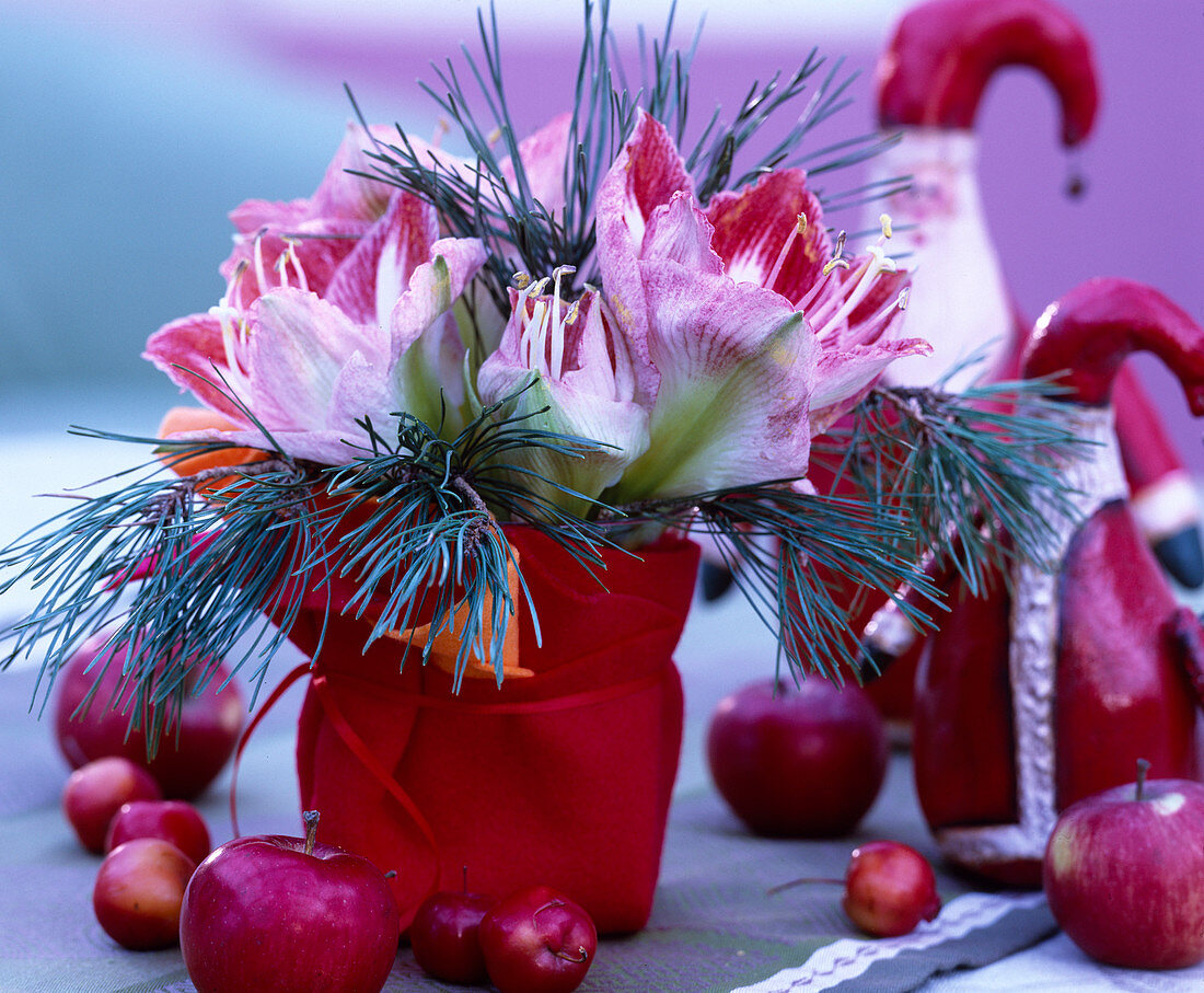 Christmas Bouquet with Amaryllis