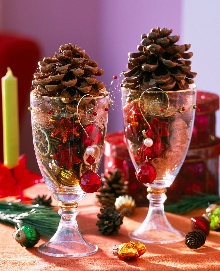 Pinus (pine), cones as a tree decoration