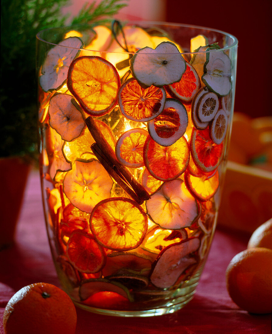 Glas mit Citrus (Orangen- und Limettenscheiben), Malus (Apfelscheiben), Zimtstangen