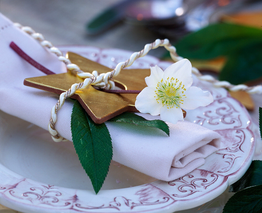 Napkin decoration with Helleborus niger (Christmas rose)