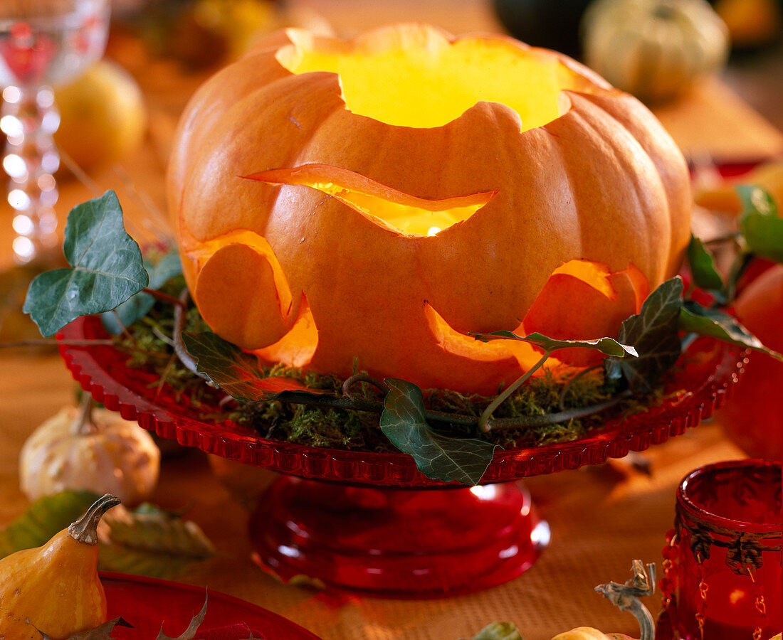 Cucurbita (pumpkin hollowed out and lit with candle), Hedera (ivy vines), moss