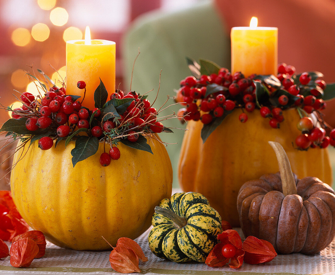 Cucurbita (pumpkins), Rosa (rosehips), Euphorbia spinosa (spurge)