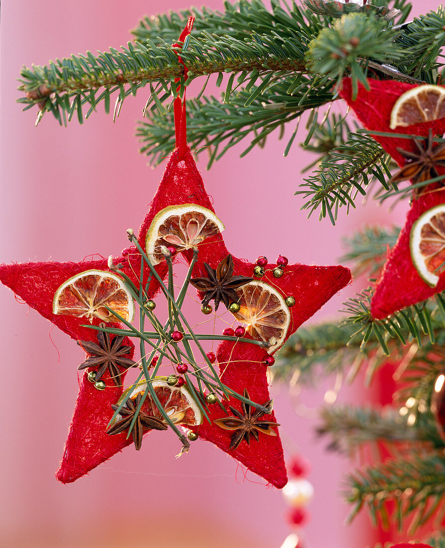 Abies nordmanniana (Nordmanntannenzweig), Sisalstern mit Citrus (Limettenscheiben)