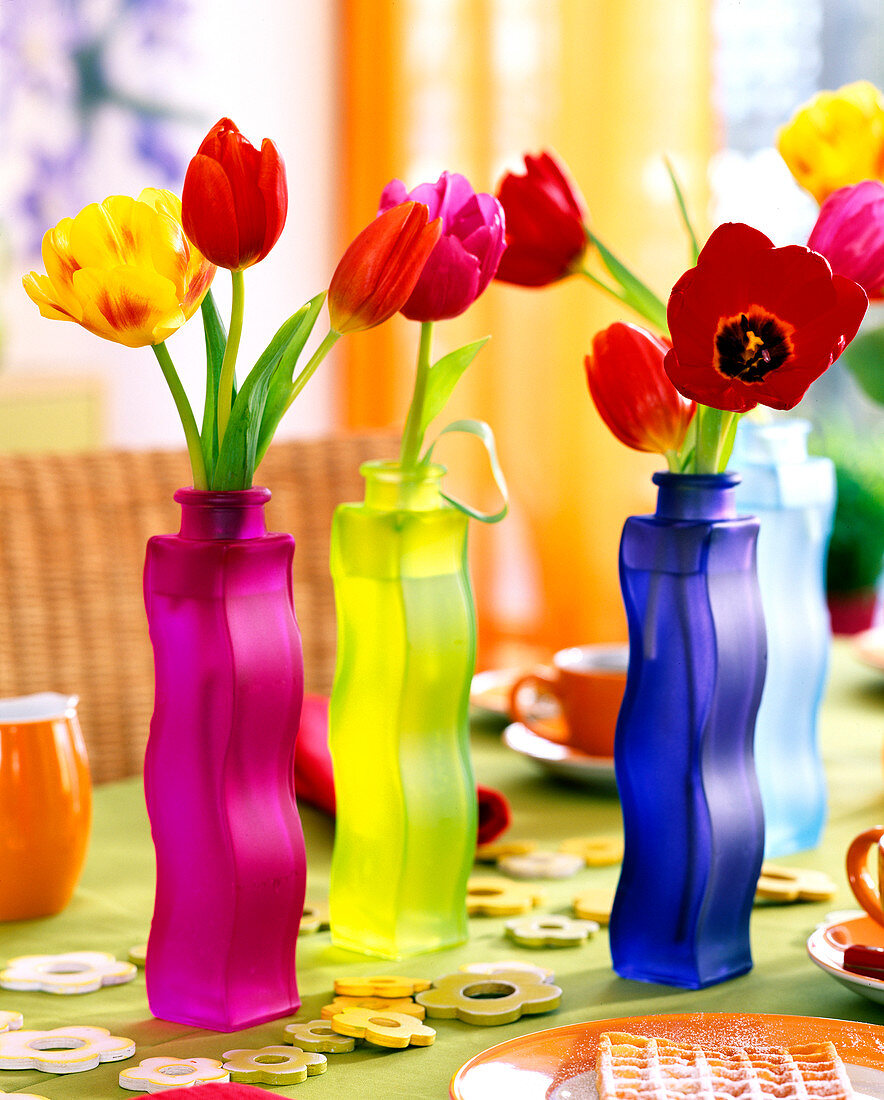 Tulipa (tulips) in colourful wave bottles