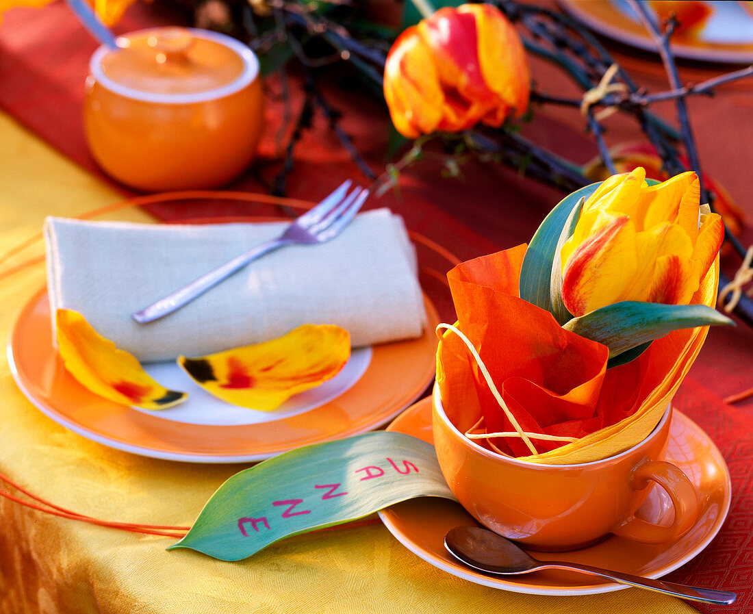 Tulipa (Tulpenblüte mit oranger Serviette und Seidenpapier)