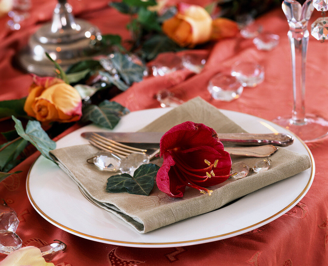 Hippeastrum (Amaryllis), Hedera (ivy), as a napkin deco, Rose