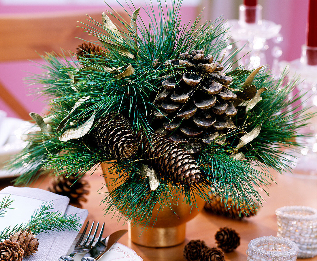 Pinus strobus (silk pine), pine cone, picea (spruce branch and cone)