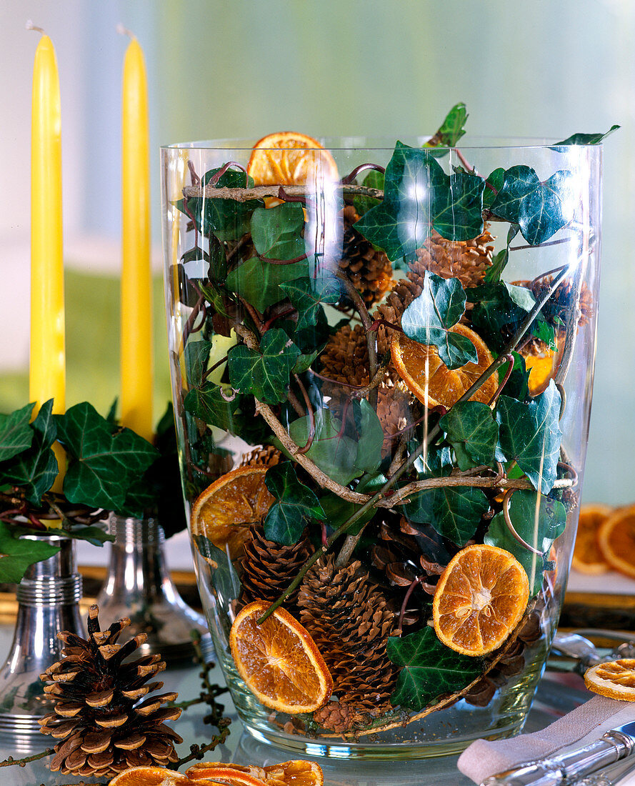 Hedera (ivy tendrils), Citrus (orange slices), Picea (spruce cone), Pinus (pine cone)