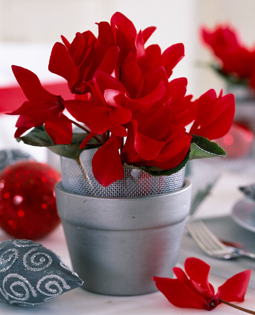 Christmas table decoration in grey (red)