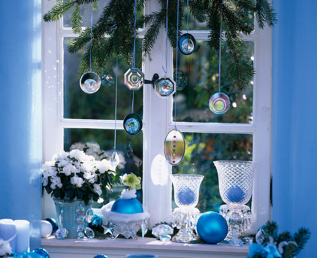 Window with Picea (spruce branch), Feng Shui pendant, Rhododendron simsii (indoor azalea)