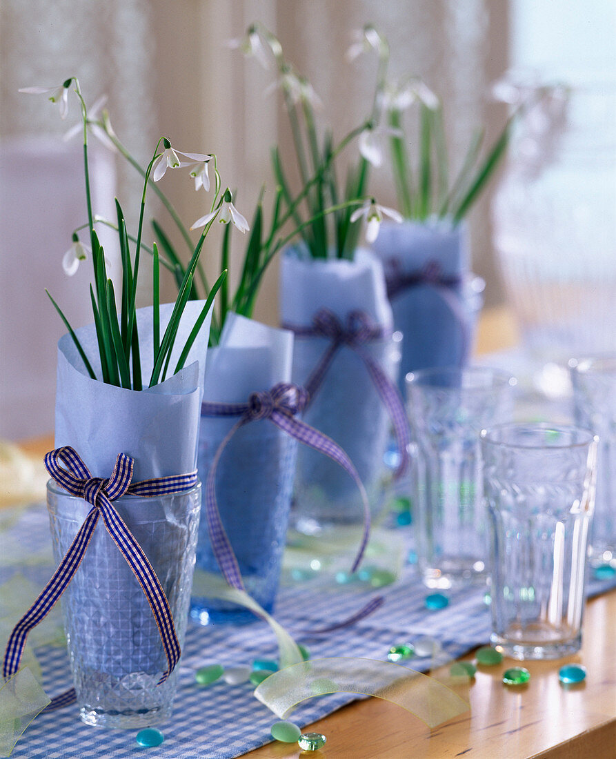 Galanthus nivalis (snowdrop) strung in glasses